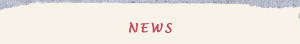 NEWS(新着情報)